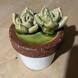 Ceramic decorative succulents